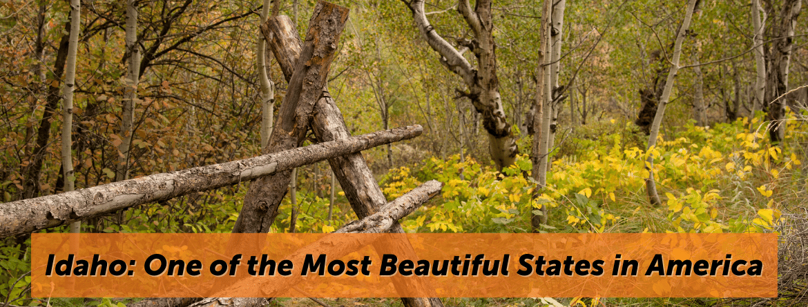 A picture of a wooden fence in the forest. Text reads: Idaho: One of the Most Beautiful States in America. Links to article about Idaho being named one of the most beautiful states in America.